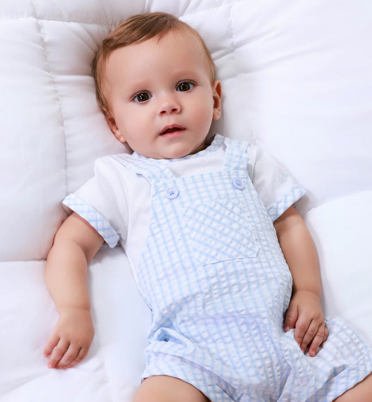 Tutto Piccolo Baby Boys Blue Gingham Romper 2421
